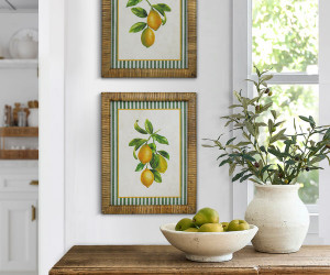 Giardino di Limoni II Framed Print