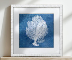 Montauk Blue Coral I Framed Print