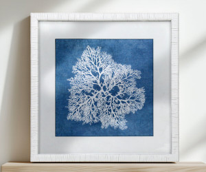 Montauk Blue Coral II Framed Print
