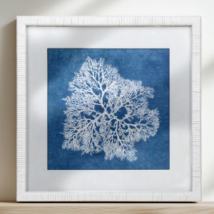 Montauk Blue Coral II Framed Print, framed wall artwork