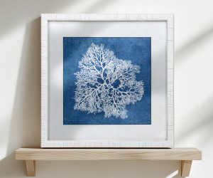 Montauk Blue Coral II Framed Print