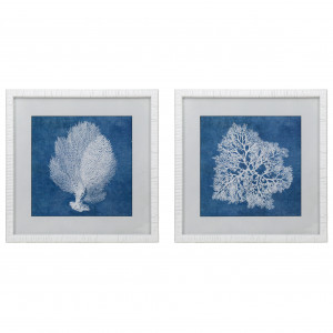 Montauk Blue Coral II Framed Print, a wall display piece featuring the named subject and composition