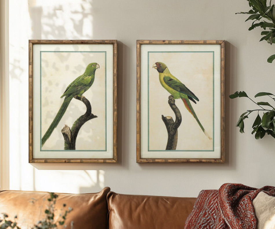 Island Parrot I Framed Print