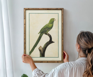 Island Parrot I Framed Print