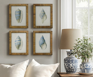 Atlantic Blue Shell I Framed Print