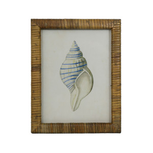 Atlantic Blue Shell I Framed Print, presented as decorative artwork for creating a focal point on a wall