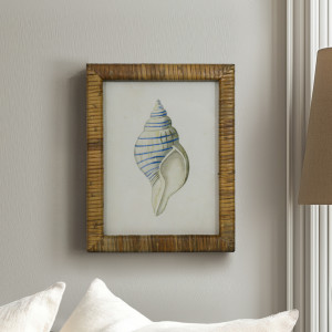Atlantic Blue Shell I Framed Print, framed wall artwork