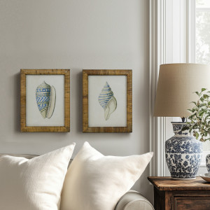 Atlantic Blue Shell I Framed Print, a wall display piece featuring the named subject and composition