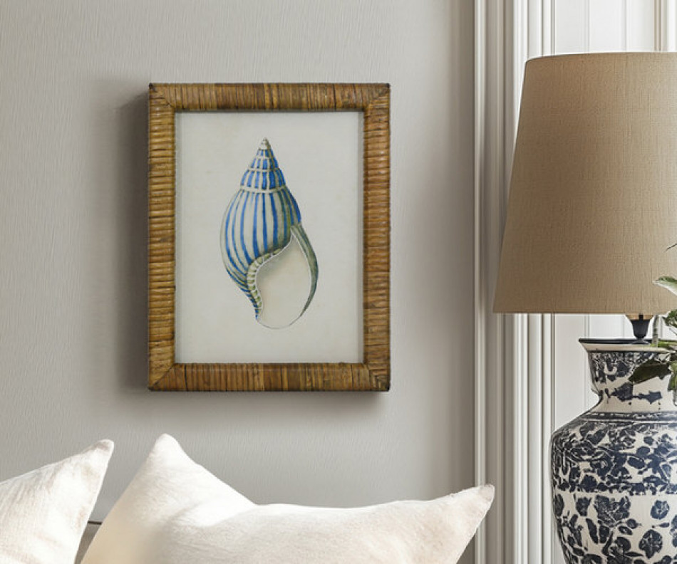 Atlantic Blue Shell III Framed Print