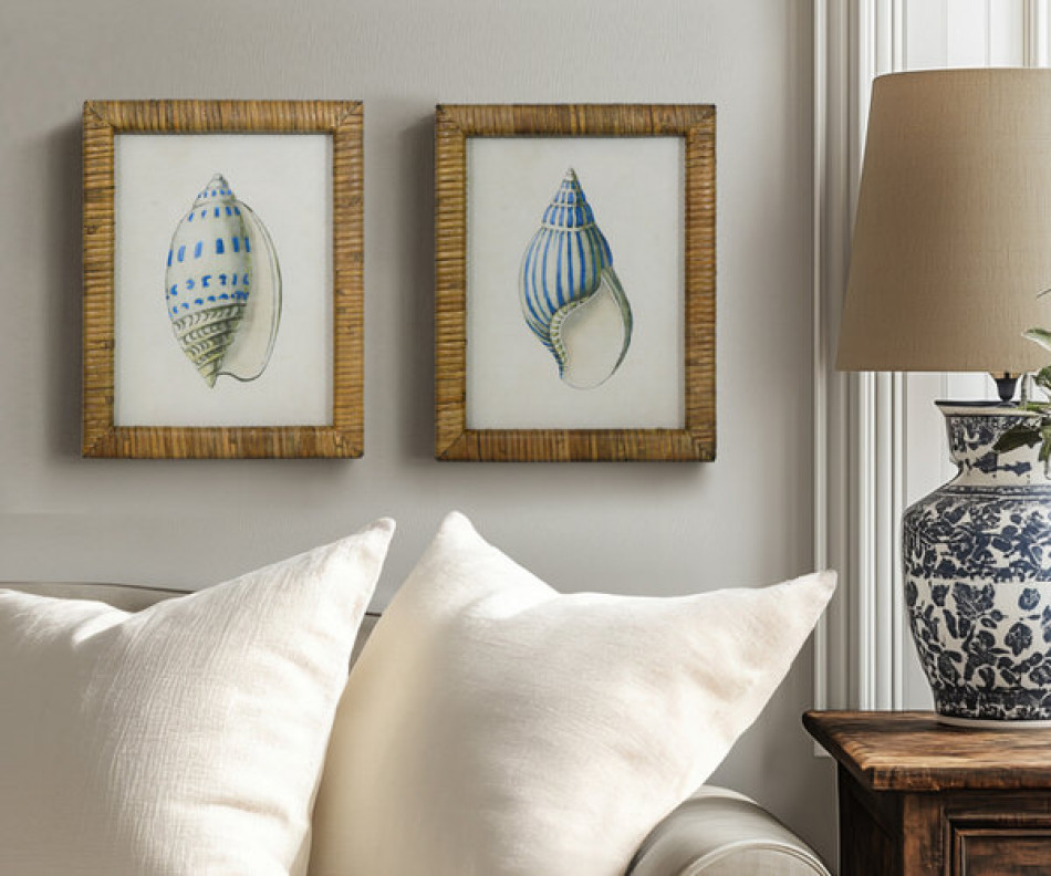 Atlantic Blue Shell III Framed Print