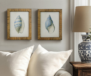 Atlantic Blue Shell III Framed Print