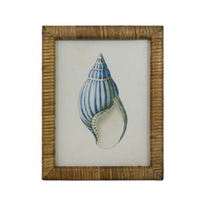 Atlantic Blue Shell II Framed Print, presented as decorative artwork for creating a focal point on a wall