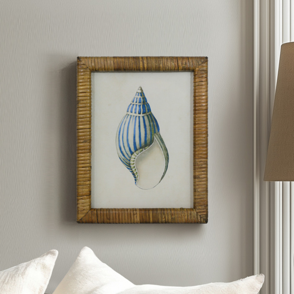 Atlantic Blue Shell II Framed Print, framed wall artwork