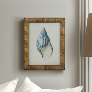 Atlantic Blue Shell II Framed Print, framed wall artwork