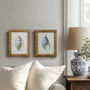 Atlantic Blue Shell II Framed Print, a wall display piece featuring the named subject and composition