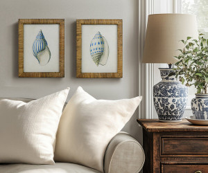 Atlantic Blue Shell IV Framed Print