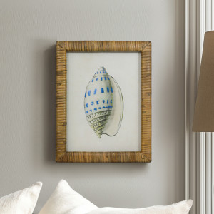 Atlantic Blue Shell III Framed Print, framed wall artwork
