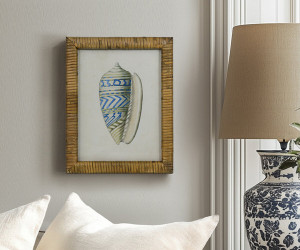 Atlantic Blue Shell II Framed Print