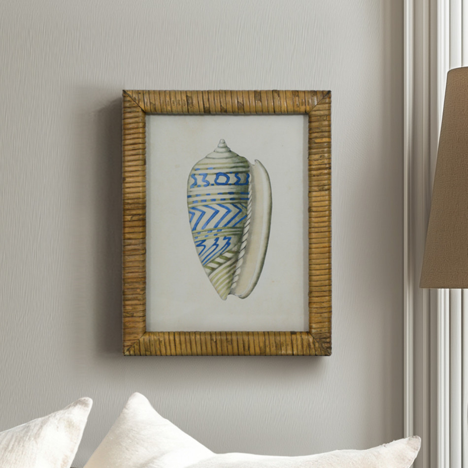 Atlantic Blue Shell IV Framed Print, framed wall artwork
