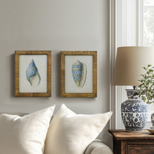 Atlantic Blue Shell IV Framed Print, a wall display piece featuring the named subject and composition