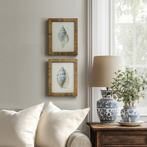 Atlantic Blue Shell III Framed Print, a wall display piece featuring the named subject and composition