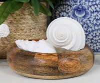 Flamenco White Shell - Tonna Shell