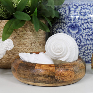 Flamenco White Shell - Tonna Shell, highlighting the product's distinctive form and defining design
