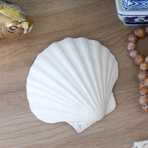 White Scallop Seashell - 10-12cm, personal accessory