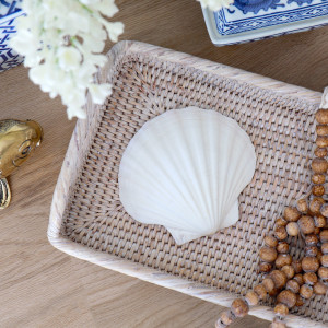 White Scallop Seashell - 10-12cm, shown as a standalone product for clear identification