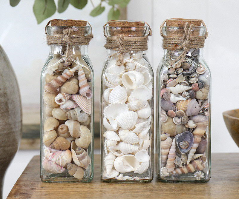 Brighton Jar of Seashells - Beige