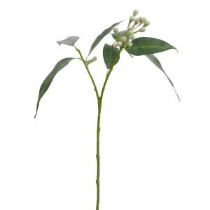 Full-length single Henley artificial seeded eucalyptus stem on a white background