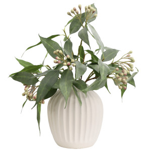 Six Henley seeded eucalyptus stems arranged in a white ribbed vase on a white background