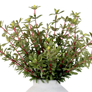 Set 2 Golden Sedum Leaf Sprays, designed to add lasting floral or foliage detail to an interior display