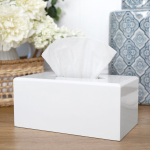 White Lacquer Tissue Box Cover, highlighting the product's distinctive form and defining design