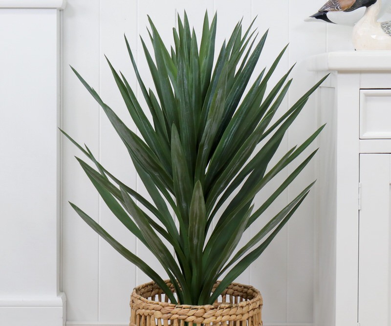 Dracaena Tree 91cm green