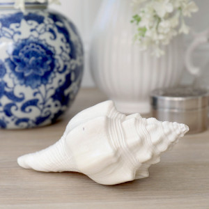 Etienne White Shell - Turbinella Angulata Shell, decorative home accessory
