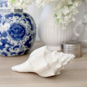 Etienne White Shell - Turbinella Angulata Shell, highlighting the product's distinctive form and defining design