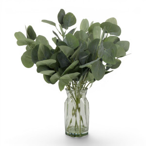 Yamba eucalyptus leaf vase arrangement displayed against a white background