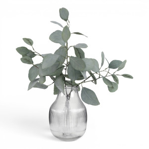 Clear ribbed glass vase holding a broad arrangement of eucalyptus stems