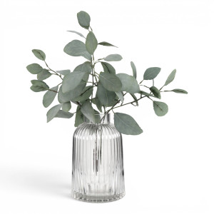 Joplin clear ribbed glass vase holding eucalyptus against a white background