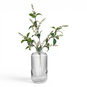 ycamore ribbed glass vase holding tall green flowering branches against a white background
