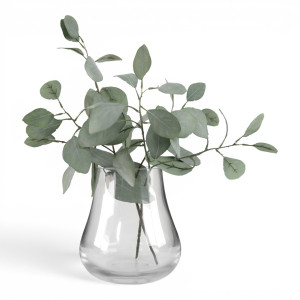 Clear teardrop glass vase styled with spreading eucalyptus foliage