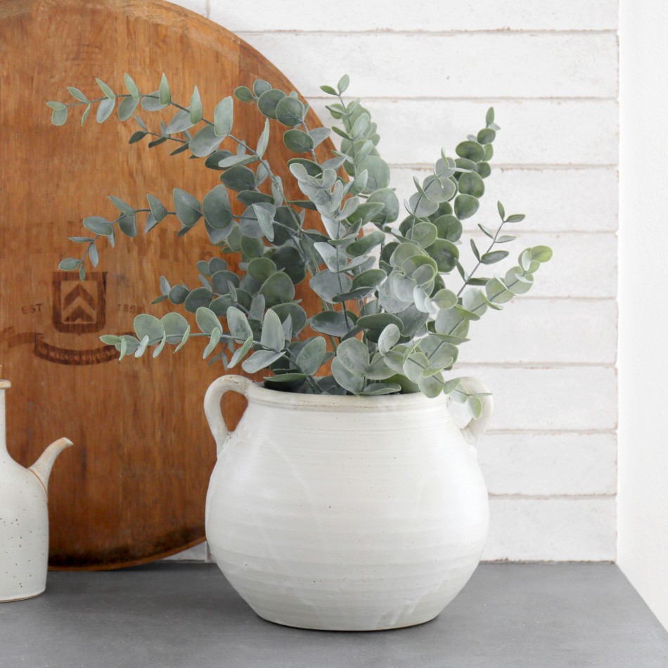 Allerton Silver Dollar Eucalyptus Potted Plant, decorative planter or flower display